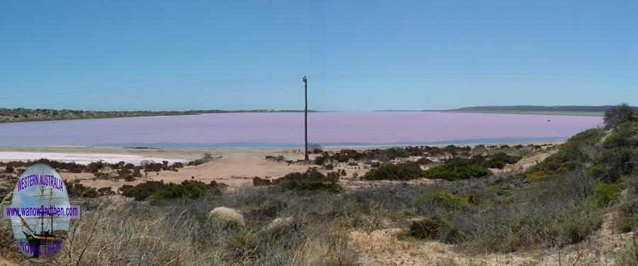 Pink Lake - Western Australia