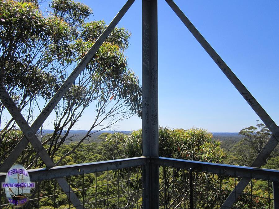 View from the Gloucester Tree