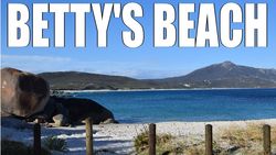 Bettys Beach