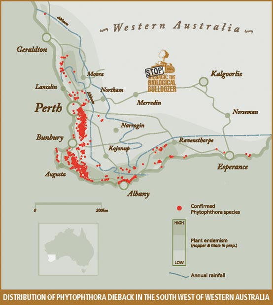 Map of dieback distribution in W.A.